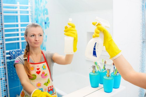 One off cleaning service in Pimlico for elegant flats and period homes