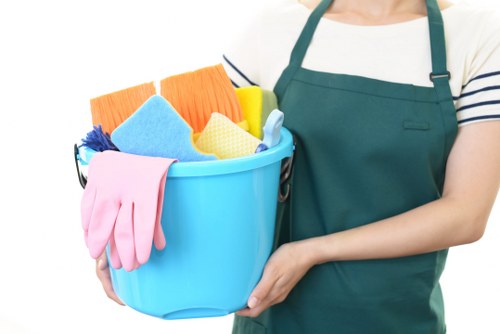 Professional upholstery cleaning for sofas in Pimlico