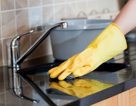 Professional gutter inspection and cleaning on a central London property
