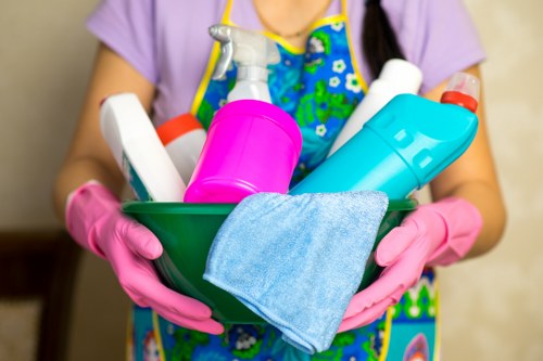 Professional carpet cleaning service in a Pimlico residential property