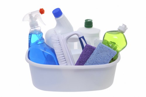 Local cleaner working in a Pimlico flat