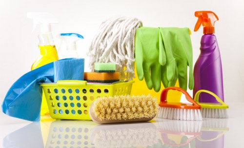 Kitchen and bathroom cleaning in a Pimlico home