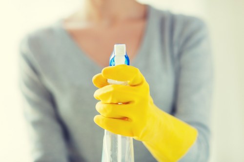 Local cleaners carrying out a deep clean in a Pimlico apartment