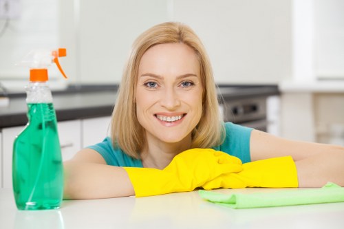 Upholstery cleaning equipment prepared for a sofa cleaning appointment in Pimlico
