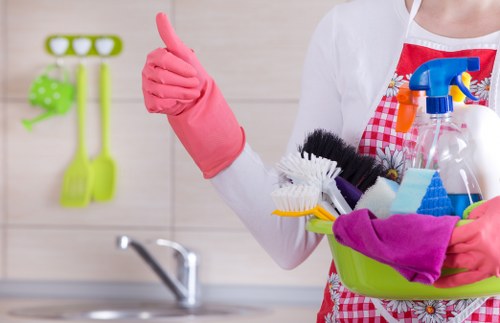 Deep cleaning a sofa for pet stain removal in Pimlico