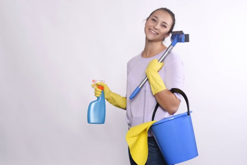 Professional hot water extraction cleaning a carpet in a Pimlico flat