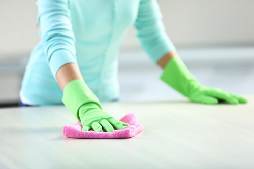 Professional housekeeping support in Pimlico
