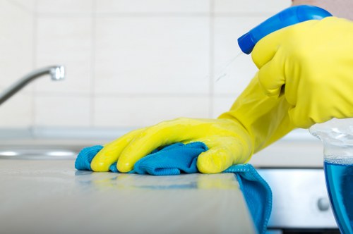 Professional house cleaning service in a Pimlico apartment