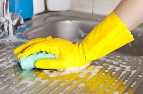 Carpet cleaning service terms and conditions introduction