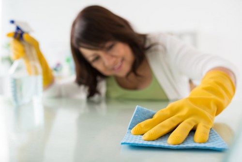 Sustainability-focused carpet cleaning in Pimlico with recycling efforts