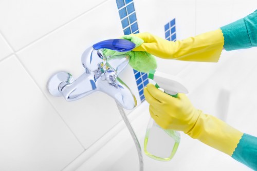 Professional Pimlico carpet cleaning with long-term care and hygiene