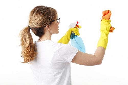 Local office cleaners working in a Pimlico commercial property