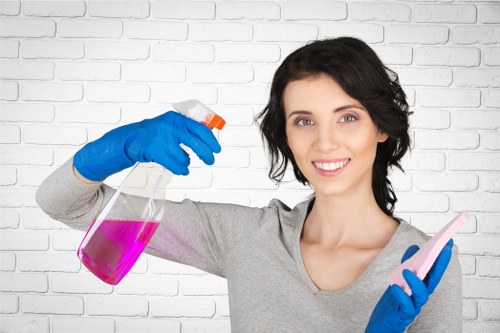 Risk assessment and preparation before carpet cleaning begins