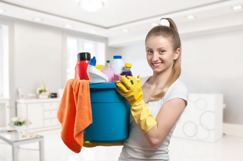 Local cleaner maintaining a Pimlico home on a regular schedule