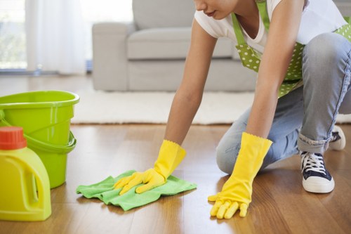 Cleaning oven racks and trays in a Pimlico home
