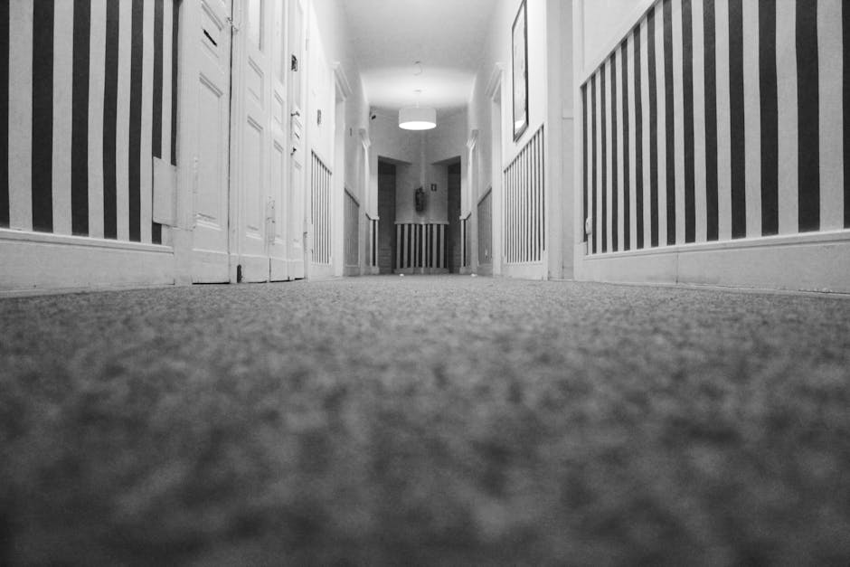 A low-angle view of a domestic hallway featuring a textured, dark-colored carpet surface that appears clean and well-maintained, running along the length of the corridor. The walls are decorated with striped wallpaper in alternating light and dark shades, and white wooden panels run along the lower half of the walls. There are multiple white doors along both sides of the hallway, with a circular ceiling light providing soft illumination. The scene depicts a neat, hygienic space suitable for surface cleaning and deep sanitisation, with no visible dust or debris, demonstrating a professional approach to domestic cleaning by Pimlico Carpet Cleaning.